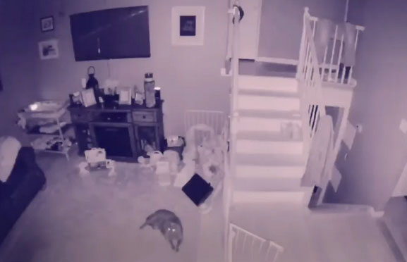 'Ghost of Boy' Caught on Home Security Footage?