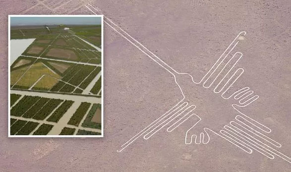 Were the Nazca Lines Just a Complex Irrigation System?