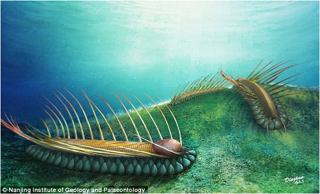 Scientists Find Fossils of Ancient 'Mythical Beast'
