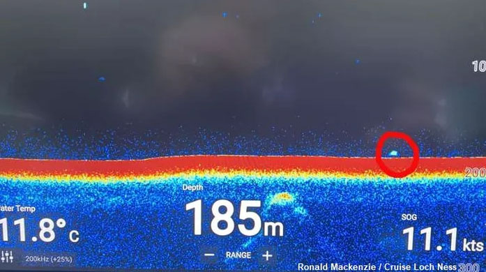 Nessie Spotted on Sonar Again?