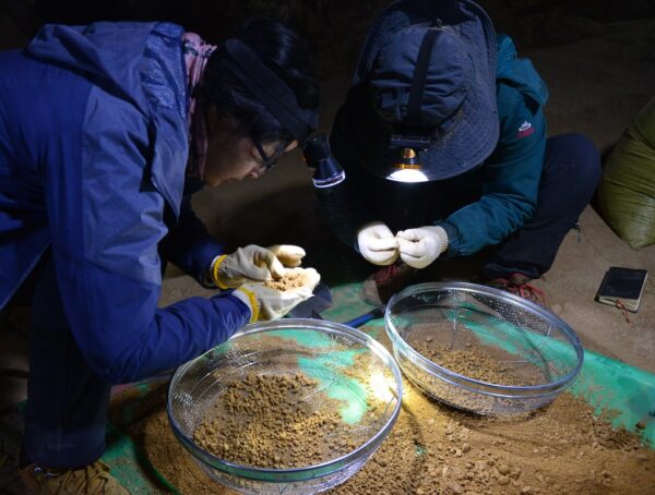 DNA Evidence Shows Ancient Denisovans Roamed Tibet