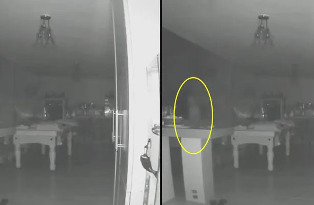 Motion Detection Camera Captures Eerie 'Ghost' Dog Walker