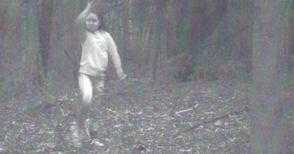 Trail Camera Photo of Mysterious Girl Sparks Debate
