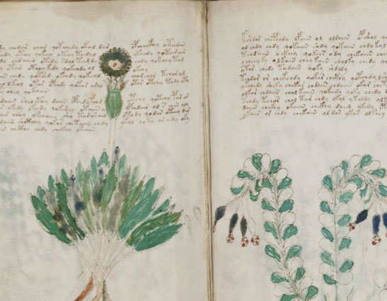 Linguist Claims to Recognise Voynich Manuscript Language