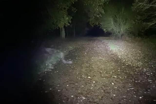 Couple Capture 'Crawling Ghost' While Walking in Spooky Woods
