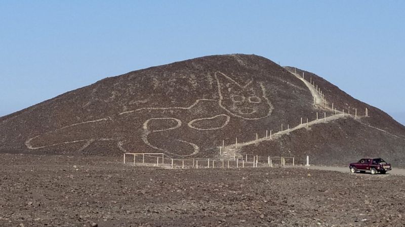 Ancient Cat Design Discovered in Peru's Nazca Lines