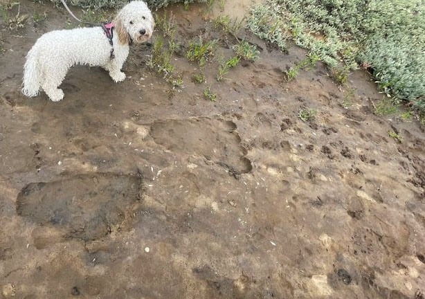 'Bigfoot' Spotted on British Beach?