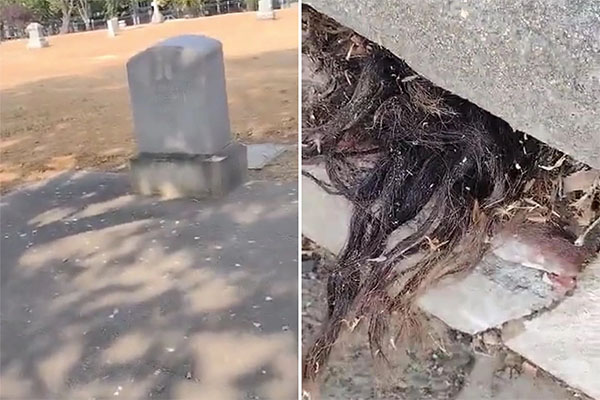 Man Discovers Hair Poking Out of One-hundred-year-old Grave