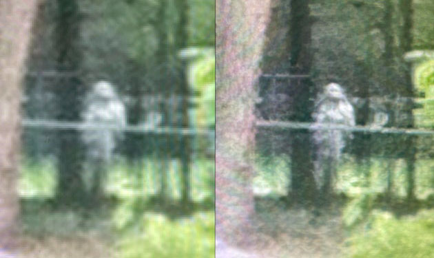 Ghost Photographed at Former Civil War Hospital in Tennessee?