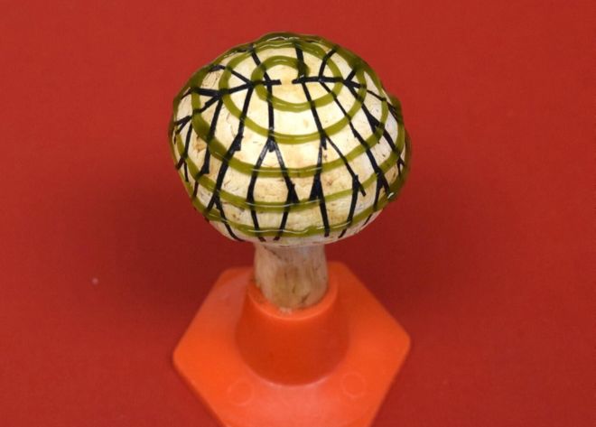 Scientists Create 'Bionic Mushroom' to Generate Clean Energy