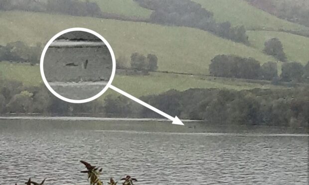New 'Nessie' Sighting Caught on Camera at Loch Ness