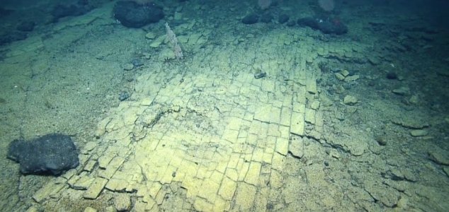 'Yellow Brick Road' Found Deep Beneath the Sea