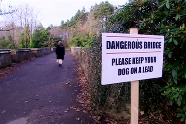 Mystery as 600 Dogs Jump from 'Haunted Suicide Bridge'