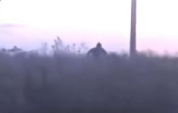 Footage Emerges of Alleged 'Russian Bigfoot' Chasing Family