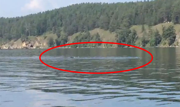 Eerie 'Giant Underwater Serpent' Filmed in Russian Lake