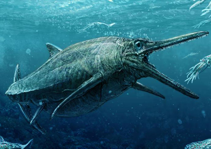 Jurassic 'Sea Monster' Emerges From Scottish Loch
