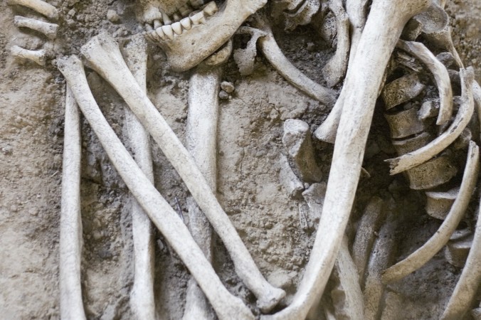 Giant 7-Foot to 8-Foot Skeletons Uncovered in Ecuador