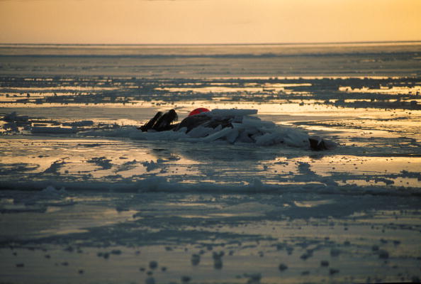 Canadian Military Investigate Strange Noises from Arctic Seafloor