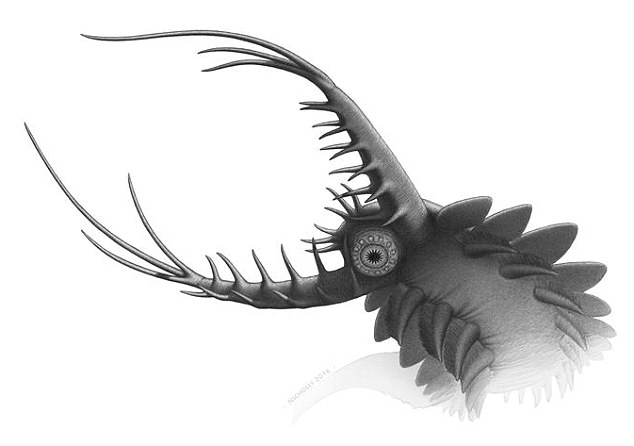 Ancient Spider Ancestor Had Rows of Sharp Teeth 'Like Sarlacc' 