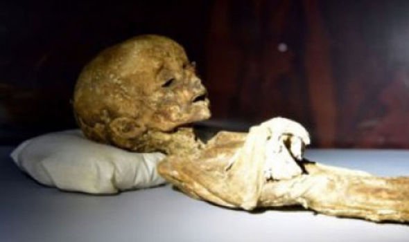 Alien Corpse, Or Just Another Mummy?