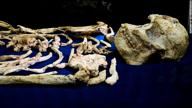 Ancient Human Ancestor 'Little Foot' Makes Public Debut