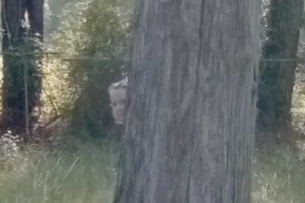 Did Google Streetview Capture a Ghost in a Texan Cemetery?