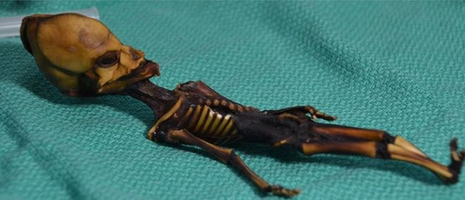 Origin of 'Six-inch Mummy' Confirmed