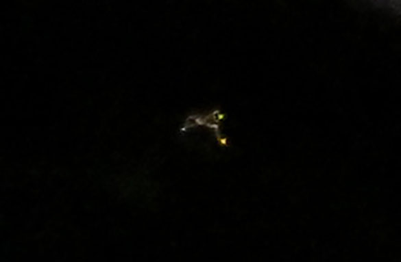 Florida Witness Captures 'UFO' on Photo