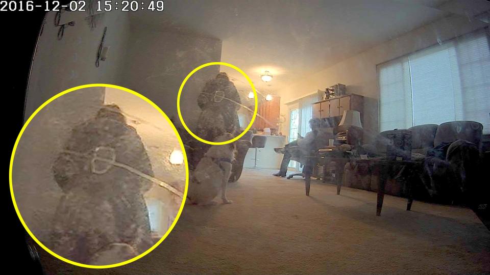 'Ghost of Civil War Maid' Captured by Home Security Camera