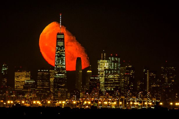 Spectacular Blood Red Moon Captured Over New York Skyline