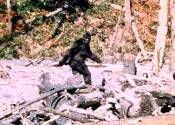 Bigfoot Eludes State Recognition in Washington