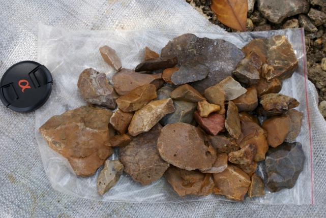 Ancient Tools Show Mysterious Humans Occupied Indonesian Island