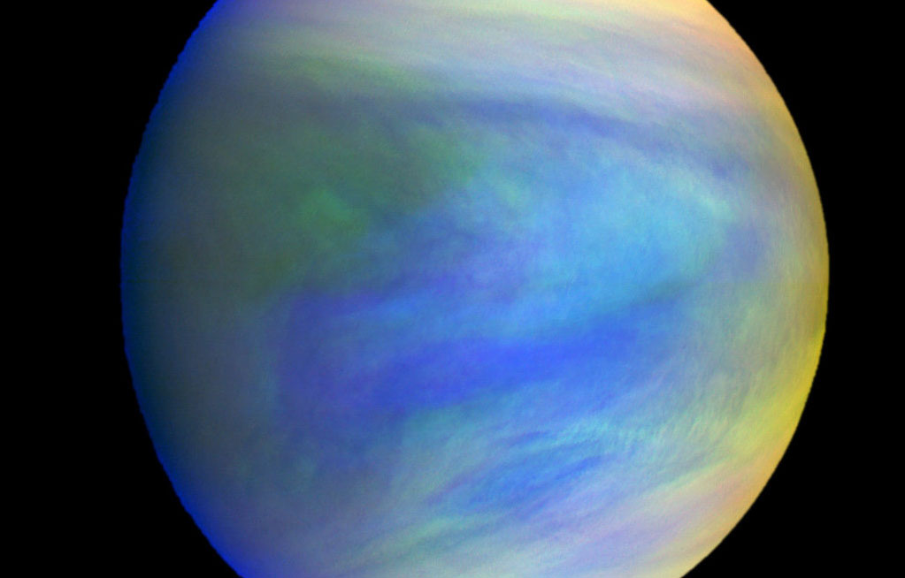 Is There Life Adrift in the Clouds of Venus?