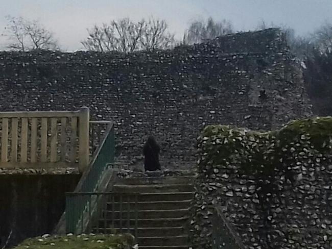 'Ghost Monk' Caught on Camera at UK Castle