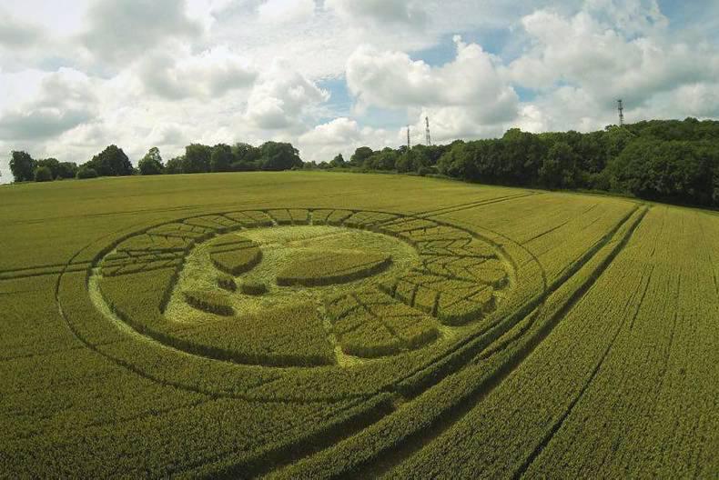Crop Circle Causes 'Huge Damage' to Wheatfield in UK