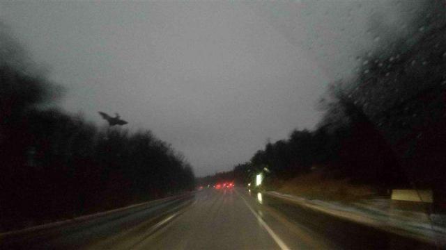 'Jersey Devil' Photographed by Construction Workers