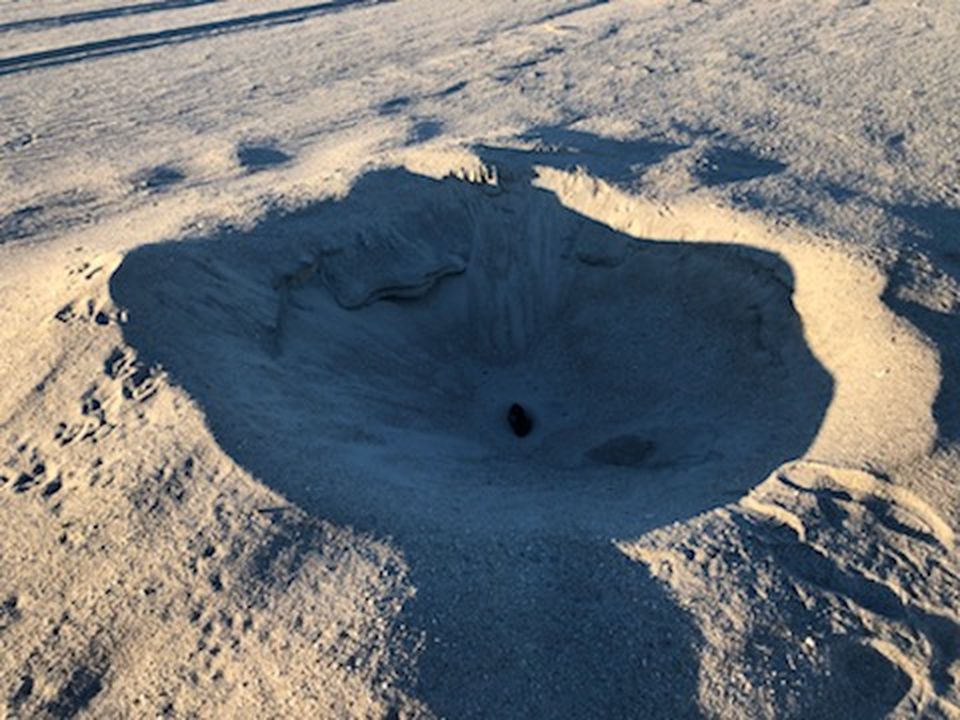 Did a Rock Found on a Jersey Shore Beach Come from Space?
