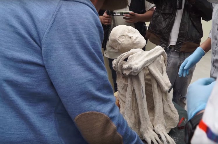 Peruvian Mummies 'Are Not Human', Claims Scientist