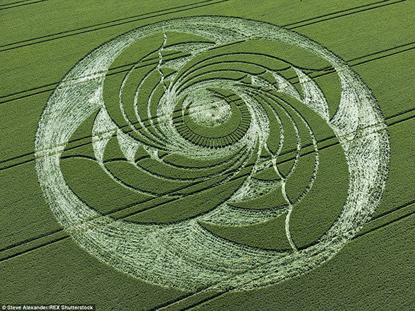Father and Son Crop Circle-Making Team Reveal Their Secrets