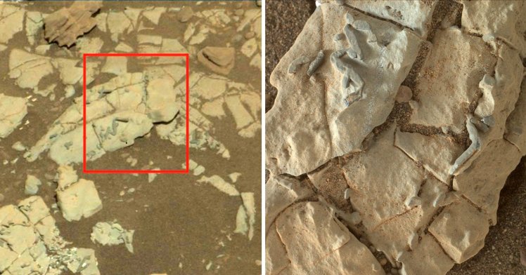Possible 'Ancient Fossils' Spotted by NASA Curiosity Rover on Mars
