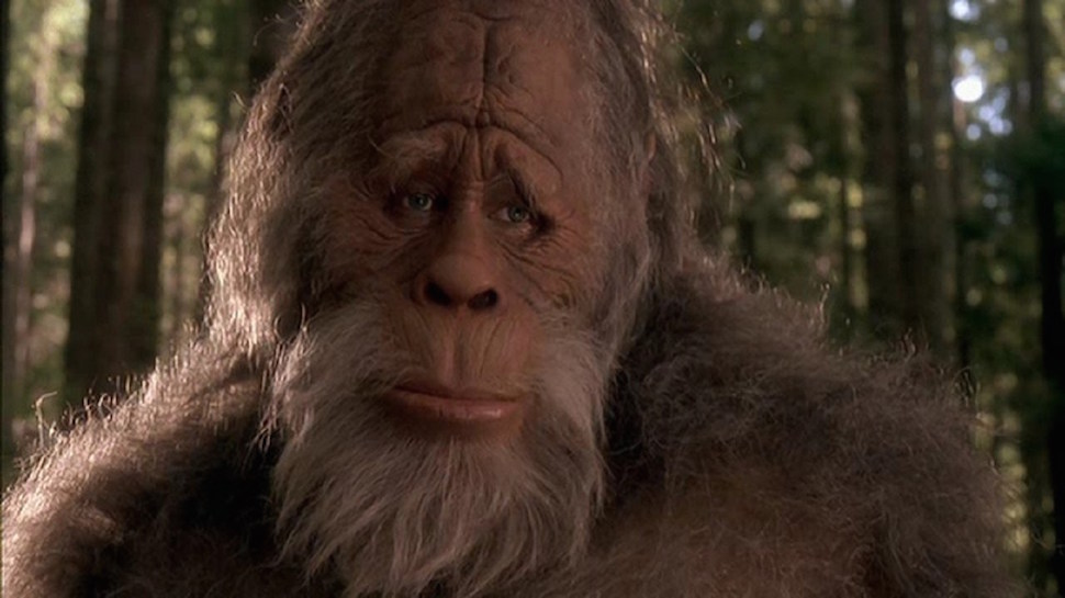 Woman Sues California Over Failure to Recognise Sasquatch