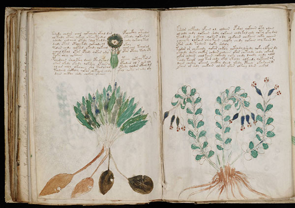 Mysterious Voynich Manuscript Code 'Cracked' Using AI