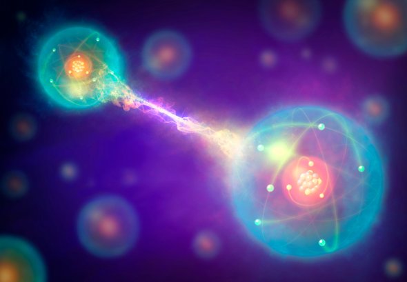 'Schrödinger's Bacterium' May Be a Quantum Leap for Biology