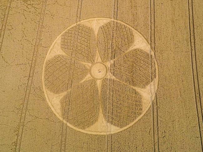 Mysterious Crop Circle Appears in Field Near White Horse