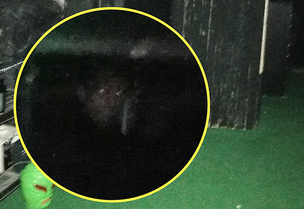 Face of 'Ghost Monk' Captured in Cellar
