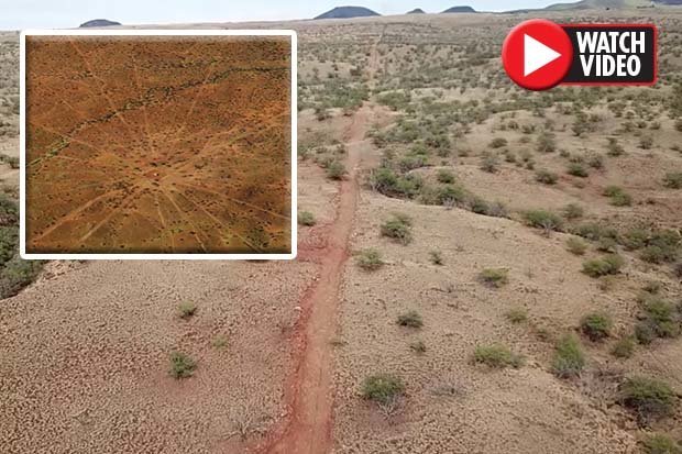 'Ancient Starmap' Markings Discovered in Hawaii