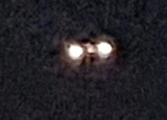 Missouri Woman Photographs Black Triangle UFO with Bright Lights