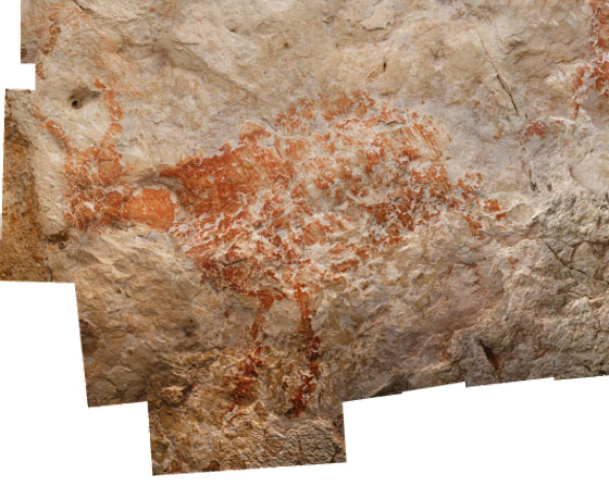 Earliest Animal Cave Paintings Found, Dating Back 40,000 Years