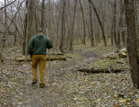 Two Men Startled by Bigfoot-Like Creatures in North Carolina