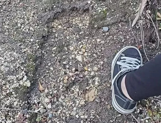 Bigfoot Prints Found on Mount St. Helens?